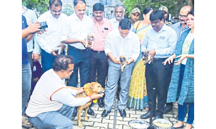 Bengaluru: ರಾಜಧಾನಿಯ ಬೀದಿ ನಾಯಿಗಳಿಗೆ ಅಕ್ಕರೆಯ ತುತ್ತು
