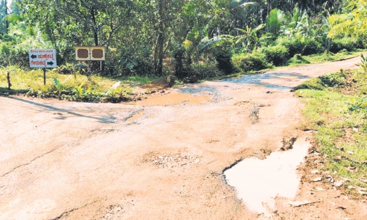 Belthangady: ರಸ್ತೆ ಶೋಚನೀಯ; ನಿರ್ವಹಣೆಯ ಕೊರತೆ; ರಸ್ತೆಯಲ್ಲಿ ಇಂಗು ಗುಂಡಿ ತರಹದ ಹೊಂಡ