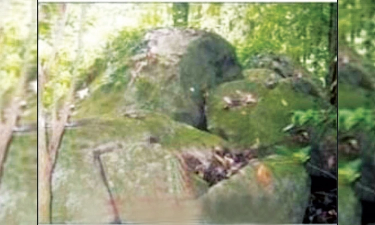 Karkala: ಶಿರ್ಲಾಲು ಕಾಡಿನಲ್ಲಿದೆ ಪ್ರಾಚೀನ ಹೆರಿಗೆ ಕಲ್ಲು!