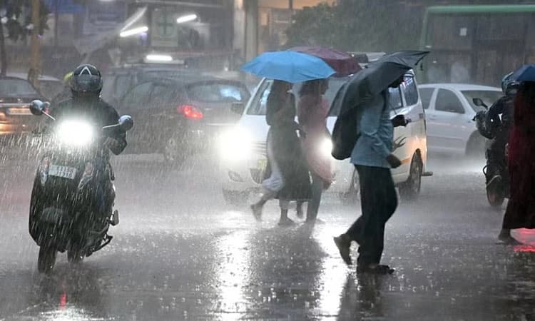 Rain: ಎಲ್ಲೋ ಅಲರ್ಟ್‌; ವಾಯುಭಾರ ಕುಸಿತ, ಕರಾವಳಿಯಲ್ಲಿ ಮುಂದುವರಿದ ಮಳೆ