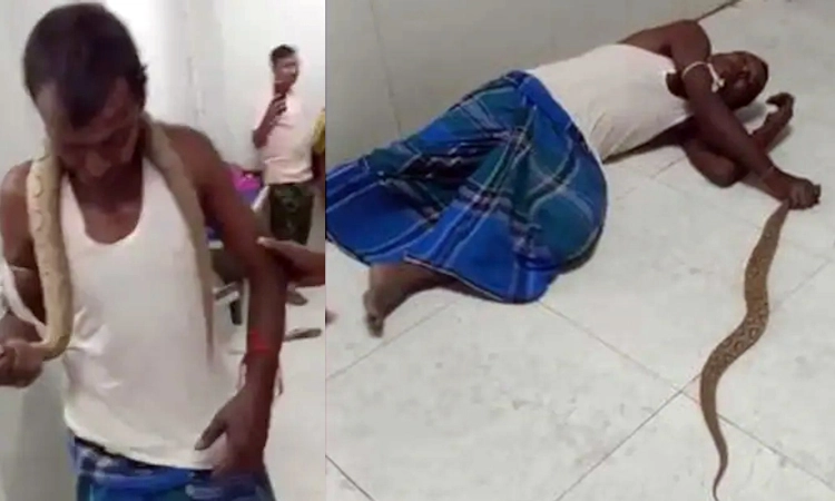 ಕಚ್ಚಿದ ಕನ್ನಡಿ ಹಾವನ್ನೇ ಕೈಯಲ್ಲಿ ಹಿಡಿದು ಆಸ್ಪತ್ರೆಗೆ ಬಂದ ವ್ಯಕ್ತಿ… ಕಂಗಾಲಾದ ವೈದ್ಯರು
