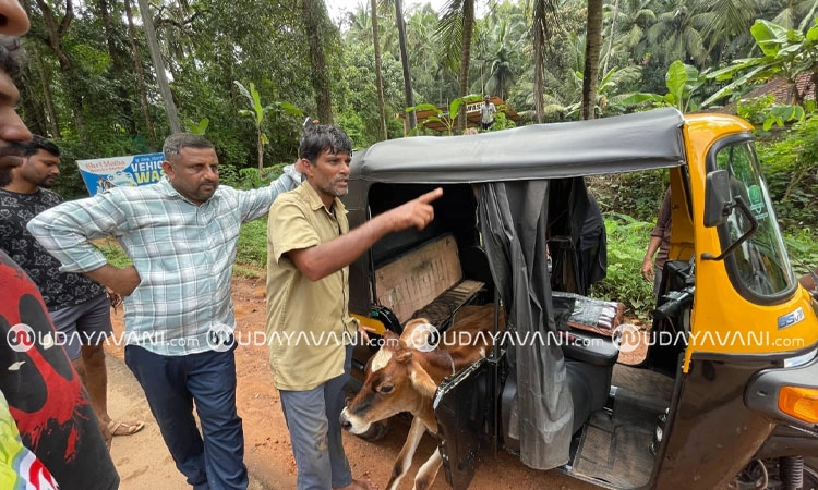 Puttur: ಅಕ್ರಮ ಗೋ ಸಾಗಾಟ ಪತ್ತೆ ಹಚ್ಚಿದ ಬಜರಂಗದಳ ಕಾರ್ಯಕರ್ತರು