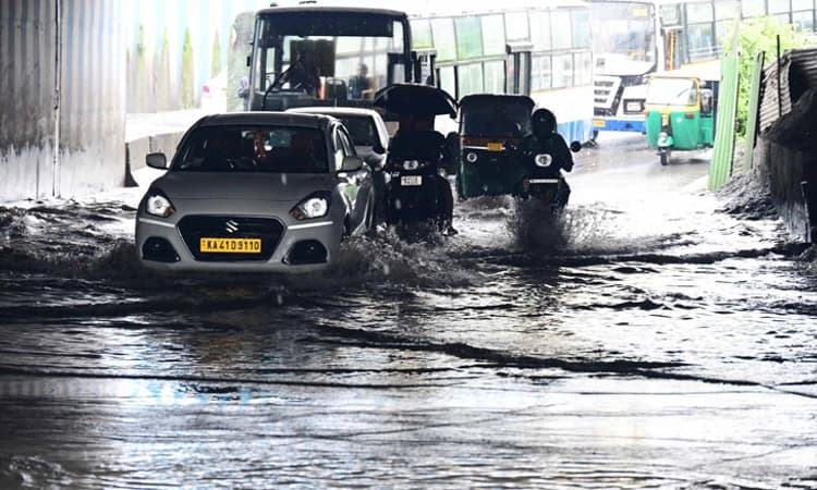 Bengaluru;ಮಳೆಗೆ ತತ್ತರಿಸಿದ ರಾಜಧಾನಿ: ಶಾಲೆಗಳಿಗೆ ರಜೆ, ಐಟಿಗೆ ವರ್ಕ್‌ ಫ್ರಂ ಹೋಮ್‌