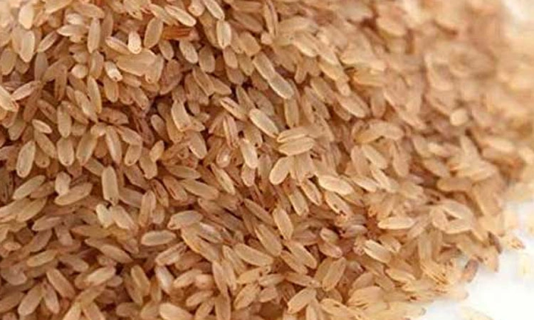 Ration: ಕರಾವಳಿಗೆ ಹೊರರಾಜ್ಯದ ಕುಚಲಕ್ಕಿಯೇ ಅನಿವಾರ್ಯ; ಭತ್ತವೂ ಇಲ್ಲ, ಅಕ್ಕಿಯೂ ಇಲ್ಲ,