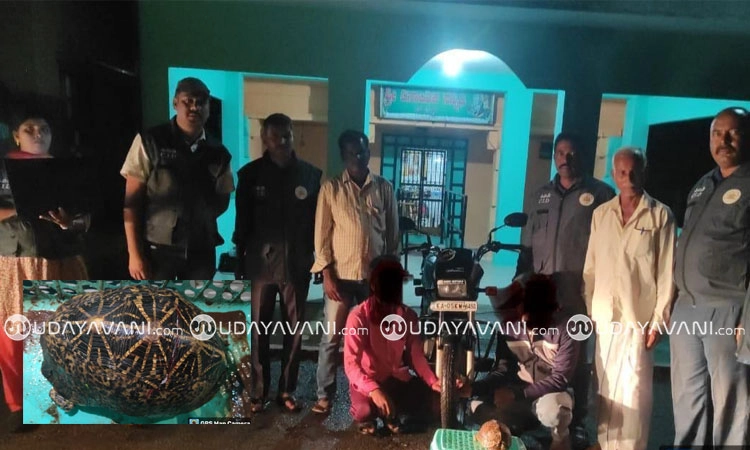 Yelandur: ಅಪರೂಪದ ನಕ್ಷತ್ರ ಆಮೆ ಕಳ್ಳ ಸಾಗಾಟ; ಇಬ್ಬರ ಬಂಧನ
