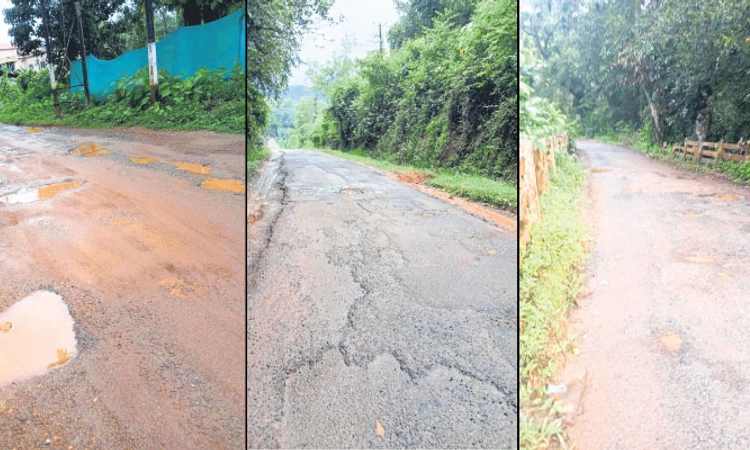 Sullia: ಪಂಜ ಹೋಬಳಿ ಕೇಂದ್ರ ತಲುಪುವುದೇ ಕಷ್ಟ!