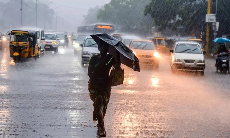 Rain Alert: ತಮಿಳುನಾಡಿನ ನಾಲ್ಕು ಜಿಲ್ಲೆಯ ಶಾಲಾ ಕಾಲೇಜುಗಳಿಗೆ ಅ.15ರಂದು ರಜೆ… ಸಿಎಂ ಸಭೆ
