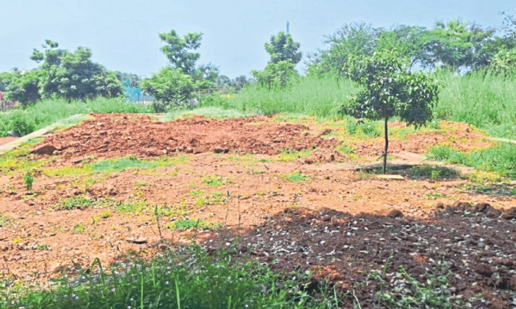 Ajjarakadu: ಗಾಂಧಿ ಭವನ ನಿರ್ಮಾಣ ವಿಳಂಬ