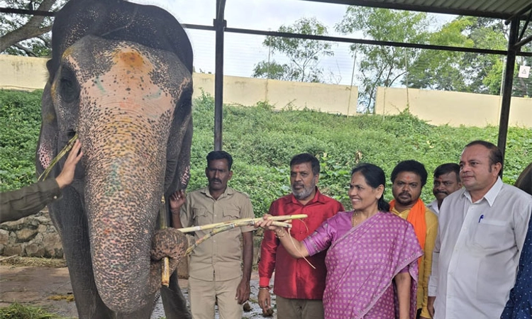 Shobha Karandlaje; ದುಷ್ಟ ಶಕ್ತಿಗಳು ಯಾರೆಂಬುದನ್ನು ಜನರೇ ತೀರ್ಮಾನಿಸುತ್ತಾರೆ