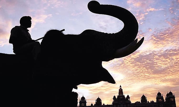 Mysore Elephants ಆನೆ ಮತ್ತು ಮಾವುತ ಭಾವನಾತ್ಮಕ ಸಂಬಂಧ