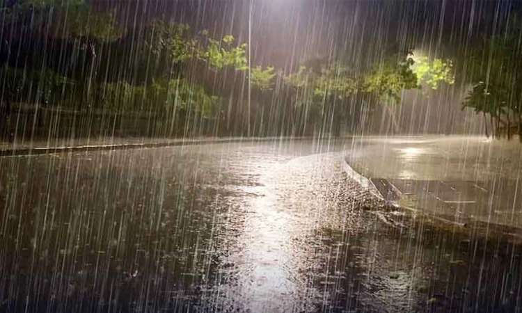 Rain: ವಾಯುಭಾರ ಕುಸಿತ ರಾಜ್ಯದ ಬಹುತೇಕ ಕಡೆ 14ರ ವರೆಗೆ ಮಳೆ