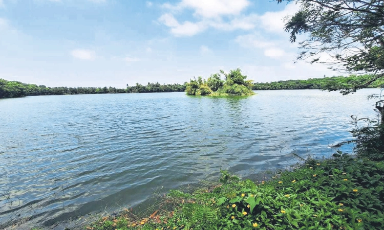 Manipal: ಮಣ್ಣಪಳ್ಳ ಕೆರೆಯೊಡಲಿಗೆ ತ್ಯಾಜ್ಯ;ಡಸ್ಟ್‌ಬಿನ್‌ ಅಳವಡಿಕೆ ಮಾಡಿದ್ದರೂ ಉಪಯೋಗ ಶೂನ್ಯ