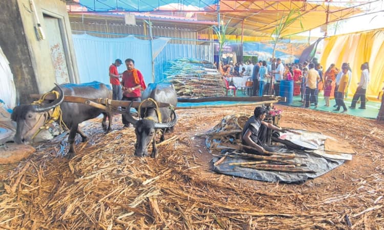 Kaup: ಉಚ್ಚಿಲ ದಸರೆಗೆ ವಸ್ತುಪ್ರದರ್ಶನ ಮೆರುಗು