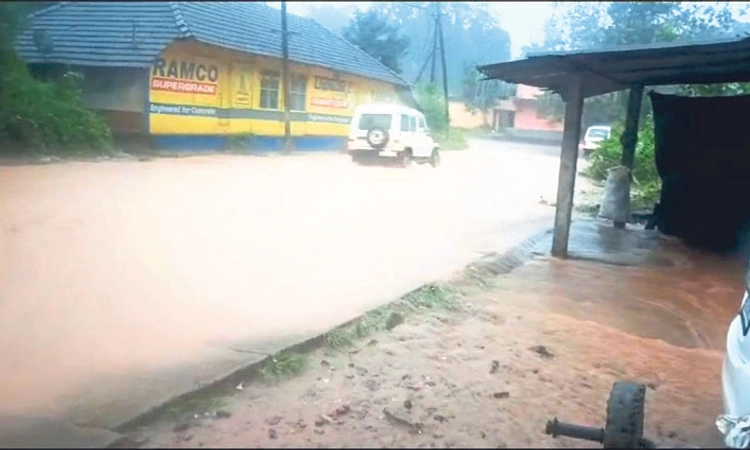 Rain: ಪುತ್ತೂರು, ಸುಳ್ಯ, ಬೆಳ್ಳಾರೆ: ಕೆಲವಡೆ ಹಾನಿ ಉಕ್ಕಿ ಹರಿದ ಗೌರಿ ಹೊಳೆ; ಸಂಚಾರ ಬಂದ್‌