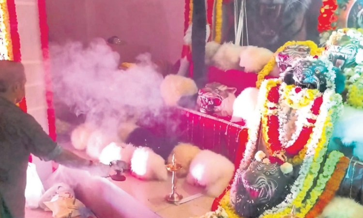 Mangalore: ಊದು ಪೂಜೆ: ಹುಲಿ ವೇಷಕ್ಕೆ ಮುಹೂರ್ತ!