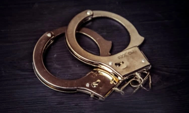 Theft Case: ಬ್ಯಾಂಕಿನಿಂದ ಹಣದ ಬ್ಯಾಗ್‌ ಕಳವು ಪ್ರಕರಣ