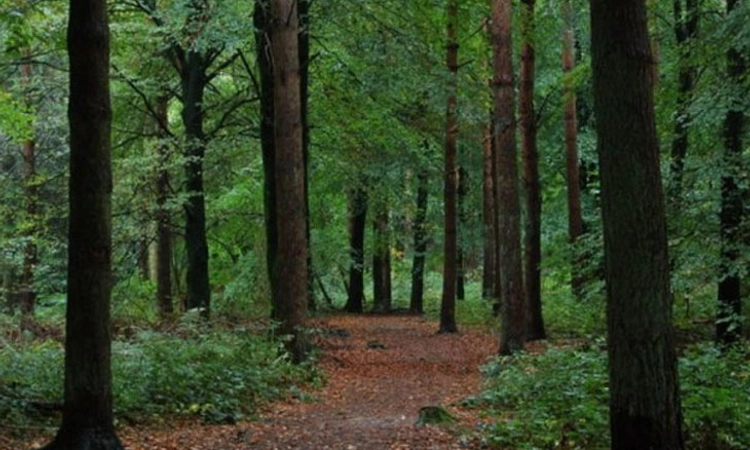 Forest Act ತಿದ್ದುಪಡಿ ಸೇರಿ ಬೇಡಿಕೆ ಈಡೇರಿಕೆಗೆ ಇಂದು ಸಭೆ