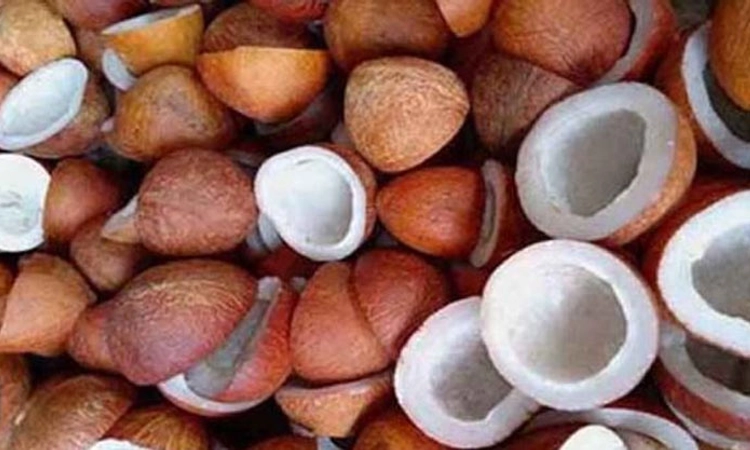 ಒಣ ಕೊಬ್ಬರಿಗೆ ಈಗ ಬಂಗಾರದ ಬೆಲೆ; ಬೆಲೆ ಹೆಚ್ಚಳಕ್ಕೇನು ಕಾರಣ?