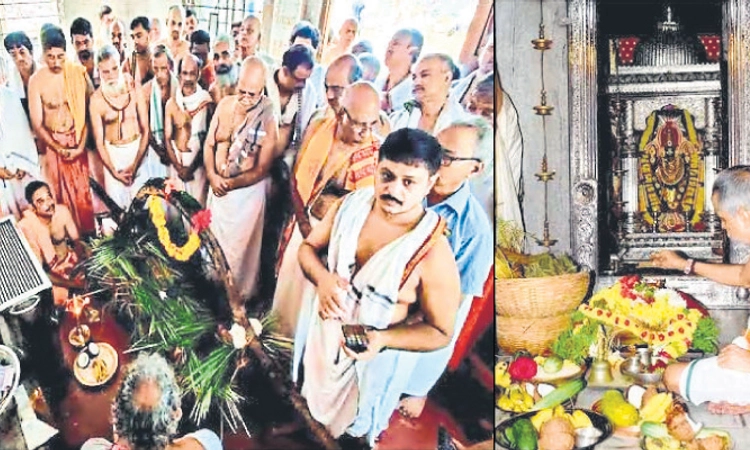 Udupi: ಮನೆಗೆ ಹೊಸತನ ತರುವ ಕದಿರು; ನವರಾತ್ರಿಯ ವೇಳೆ ನಡೆಯುವ ವಿಶಿಷ್ಟ ಆಚರಣೆ