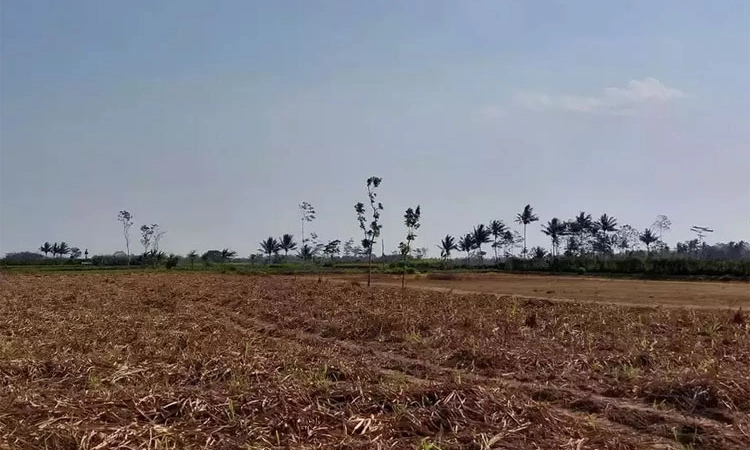 Land: ಸರಕಾರಿ ಸೊತ್ತುಗಳ ರಕ್ಷಣೆಗೆ ಸೂಕ್ತ ಕ್ರಮ; ಒತ್ತುವರಿ ಭೂಮಿಗೆ ಬೇಲಿ!