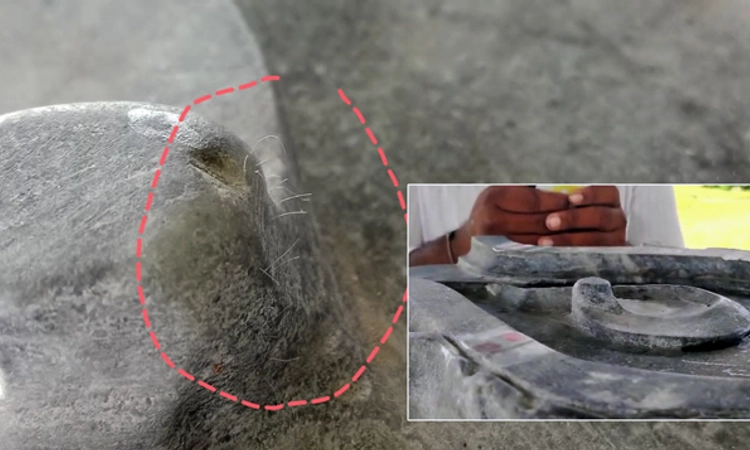 Miracle: ಶಿವಲಿಂಗದ ಮೇಲಿನ ನಾಗರ ಮೂರ್ತಿ ಮೇಲೆ ಮೂಡಿದ ಕೂದಲು… ಕಡಣಿಯಲ್ಲೊಂದು ಅಚ್ಚರಿ