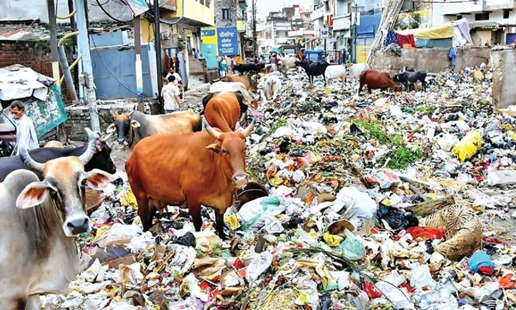 Varanasi; ಇದೇನಾ ‘ಸ್ವಚ್ಛ ಭಾರತ’?: ಫೋಟೋ ಮೂಲಕ ಪ್ರಧಾನಿಗೆ ಟಾಂಗ್ ನೀಡಿದ ಅಖಿಲೇಶ್