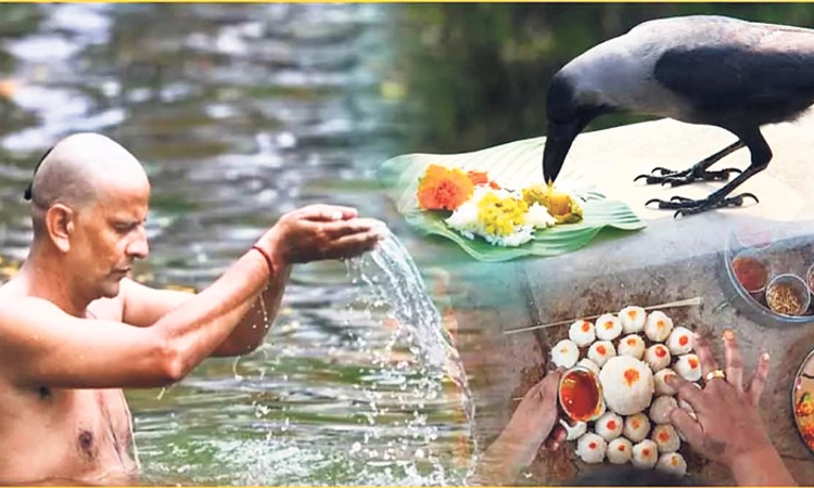 Mahalaya Shraddha: ಋಣಮುಕ್ತಗೊಳಿಸಿ, ವಂಶವನ್ನು ಬೆಳಗಿಸುವ ಮಹಾಲಯ ಕಾರ್ಯ