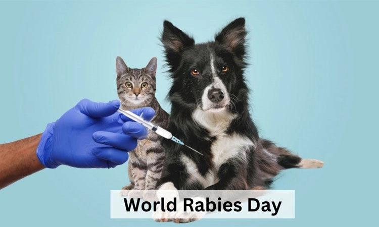 World Rabies Day 2024: ಈ ಮಾರಣಾಂತಿಕ ಕಾಯಿಲೆಯ ಬಗ್ಗೆ ತಿಳಿವಳಿಕೆ ಕೊರತೆ!