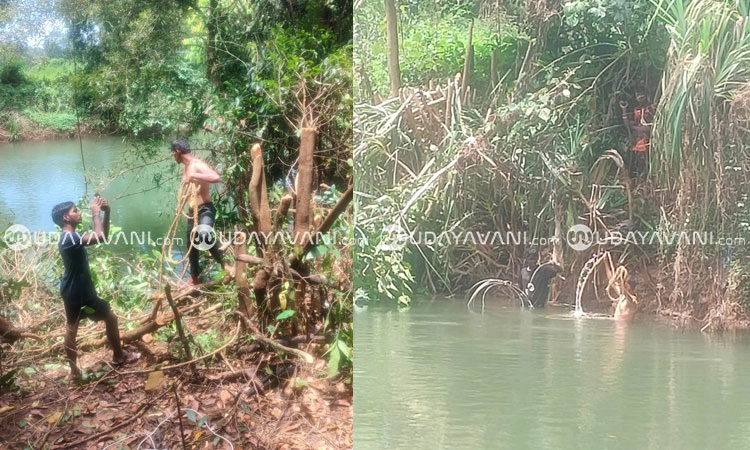 Hebri: ಈಜುತ್ತಾ ಹೊಳೆ ದಾಟಿ ವಿದ್ಯುತ್ ಸಂಪರ್ಕ ನೀಡಿದ ಮೆಸ್ಕಾಂ ಸಿಬ್ಬಂದಿಗೆ ಮೆಚ್ಚುಗೆ