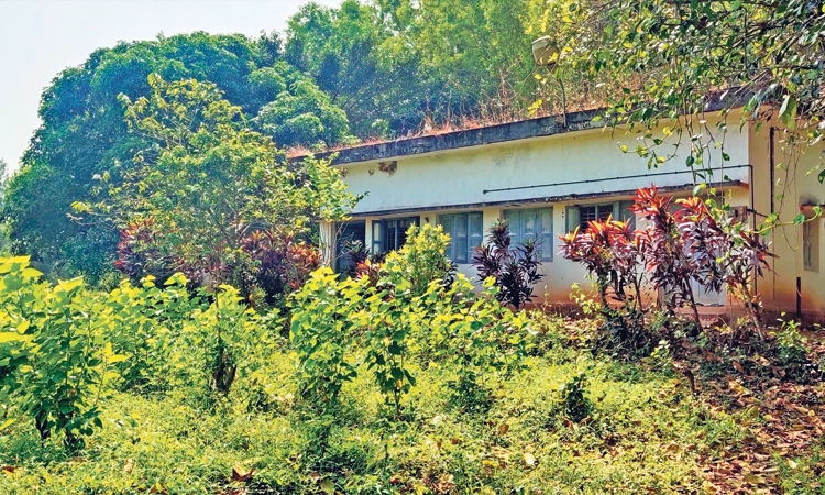 ಕರಾವಳಿಯಲ್ಲಿ ಗೂಡು ಕಟ್ಟದ ರೇಷ್ಮೆ