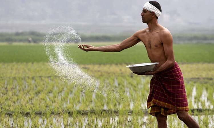 ಅಮಾನತ್ತಿನಲ್ಲಿ ಇಡಲು ಸಾಧ್ಯವೇ?