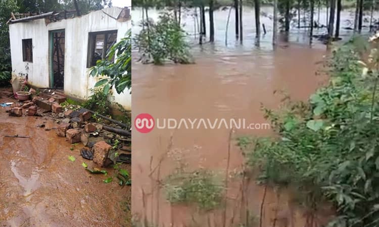 ಚಿಕ್ಕಮಗಳೂರು : ಮಳೆಯ ಅಬ್ಬರಕ್ಕೆ ಜಮೀನುಗಳಿಗೆ ನೀರು ನುಗ್ಗಿ ಬೆಳೆ ನಾಶ, ಮನೆಗೋಡೆ ಕುಸಿತ