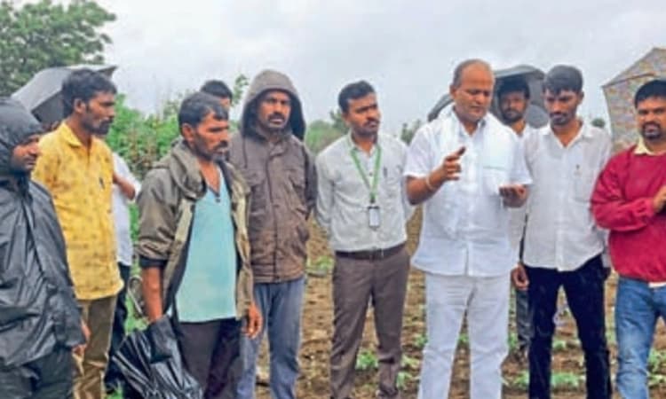 ಬಸವನ ಹುಳು ಹತೋಟಿಗೆ ಜಾಗೃತಿ