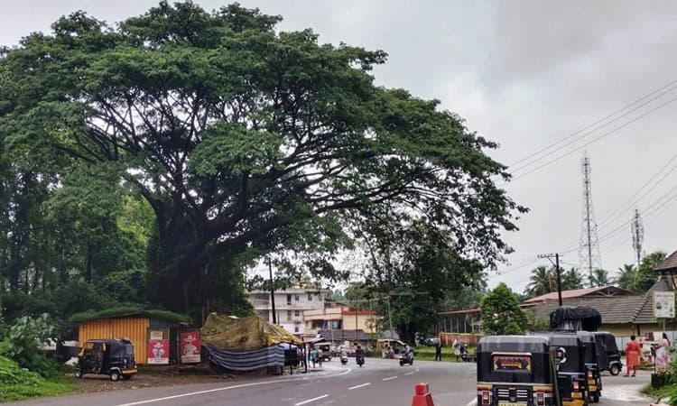 ಹಲವು ದಿನಗಳ ಬಳಿಕ ಕರಾವಳಿಯಾದ್ಯಂತ ಬಿಡುವು ನೀಡಿದ ಮಳೆ, 2 ದಿನ ಆರೆಂಜ್‌ ಅಲರ್ಟ್‌