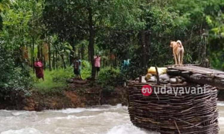 ಮನೆ ಸೇರುವ ತವಕದಲ್ಲಿ ಶ್ವಾನ; ಮನಕಲುಕುವ ದೃಶ್ಯ ಸಾಮಾಜಿಕ ಜಾಲತಾಣದಲ್ಲಿ ವೈರಲ್