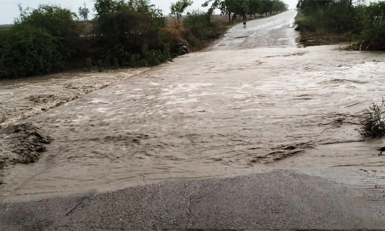 ಸೇತುವೆ ನಿರ್ಮಾಣಕ್ಕೆ ದಶಕದ ಬೇಡಿಕೆ