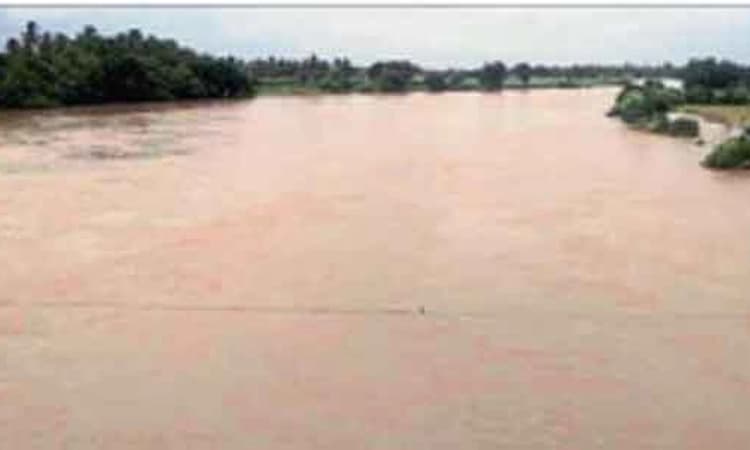 ನಿರಂತರ ಮಳೆ: ಮೈದುಂಬಿದ ವರದಾ ನದಿ