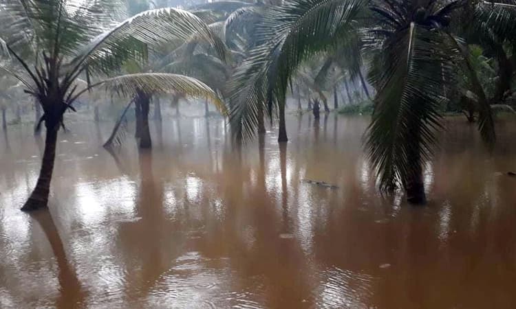 ಎರಡು ದಿನ “ರೆಡ್‌ ಅಲರ್ಟ್‌’: ದ.ಕ. ಜಿಲ್ಲೆಯಲ್ಲಿ ಉತ್ತಮ ಮಳೆ