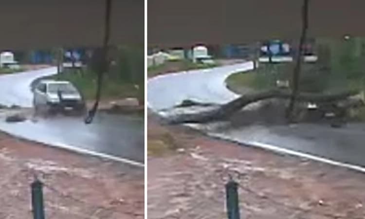 ಕೊಟ್ಟಿಗೆಹಾರ : ಚಲಿಸುತ್ತಿದ್ದ ಕಾರಿನ ಮೇಲೆ ಬಿತ್ತು ಭಾರಿ ಗಾತ್ರದ ಮರದ ಕೊಂಬೆ…