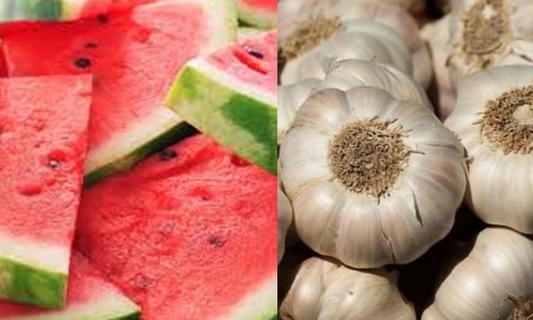 ನೀವು ಬೆಳೆ ಕೊಟ್ರೆ, ಚೀನದಲ್ಲಿ ಮನೆ ಕೊಡ್ತಾರೆ! ಹಳ್ಳ ಹಿಡಿದ ಚೀನದ ಆರ್ಥಿಕ ಸ್ಥಿತಿ