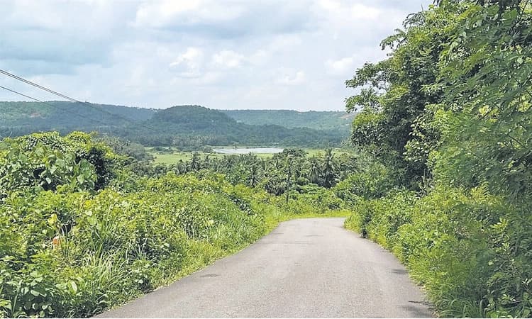 ಕಚ್ಚಾ ರಸ್ತೆಗಳೇ ಈ ಗ್ರಾಮದ ದೊಡ್ಡ ಸಮಸ್ಯೆ