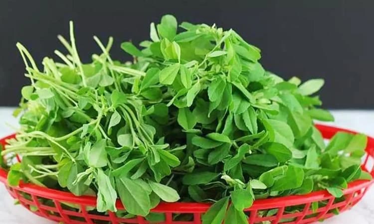 ಮೆಂತ್ಯೆ ಸೊಪ್ಪಿನ ವೈವಿಧ್ಯಮಯ ಅಡುಗೆಗಳು