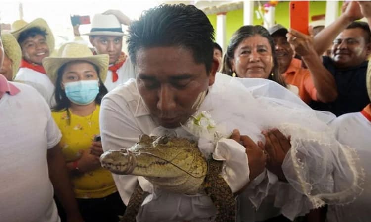 ಸಂಪ್ರದಾಯವಂತೆ..: ಮೊಸಳೆಯನ್ನು ಮದುವೆಯಾದ ಮೇಯರ್| ವಿಡಿಯೋ ನೋಡಿ