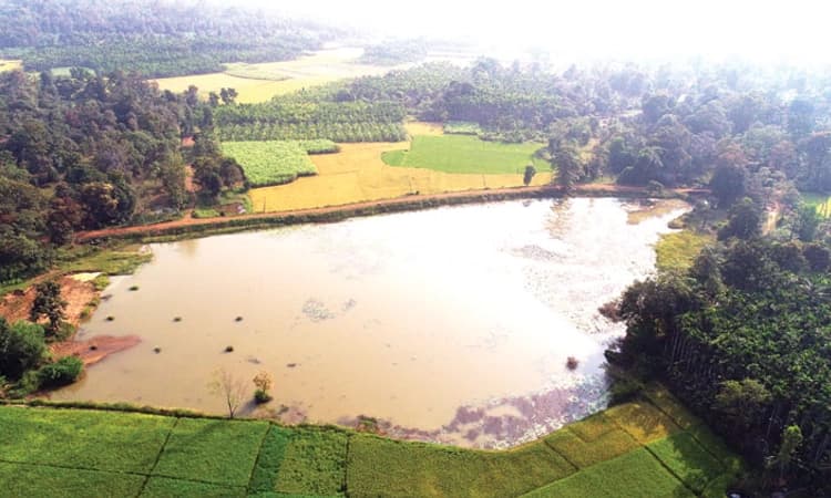 ಕೆರೆಗಳ ವಿಕಾಸ ಮಾಡುತ್ತಿರುವ ಮನುವಿಕಾಸ