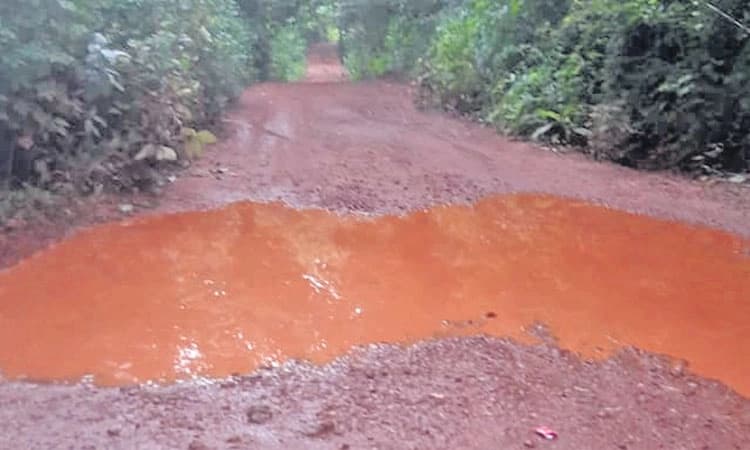 ಗುಜ್ಜಾಡಿ: ಗ್ರಾಮೀಣ ರಸ್ತೆ, ಕಸ ವಿಲೇವಾರಿ, ಚರಂಡಿ ಸಮಸ್ಯೆ