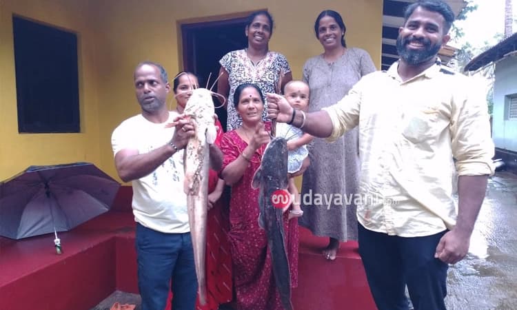 ಕಟಪಾಡಿ: ನೇಜಿ ಕೀಳುತ್ತಿದ್ದ ಗದ್ದೆಯಲ್ಲಿ ಸಾವಿರಾರು ರೂ. ಬೆಲೆ ಬಾಳುವ ಮೀನುಗಳು ಪತ್ತೆ