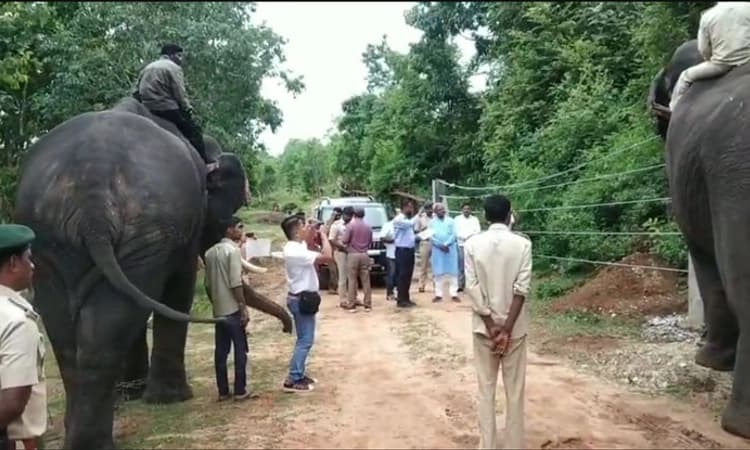 ನಾಗರಹೊಳೆ; ಸ್ಟೀಲ್ ವೈಯರ್ ರೋಪ್ ಬ್ಯಾರಿಕೇಡ್ ಅಳವಡಿಕೆ: ಸಚಿವರಿಂದ ಪರಿಶೀಲನೆ