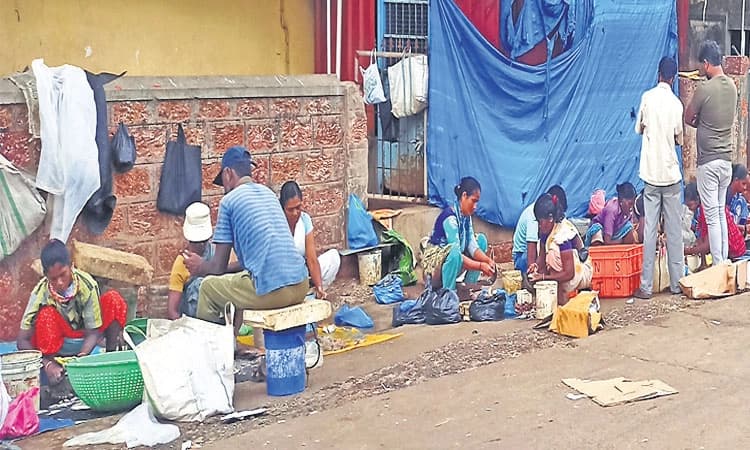 ಮೀನುಗಾರಿಕೆ ಬಂದರು: ಮೂಲ ಸೌಕರ್ಯವಿಲ್ಲದೆ ʼಮೀನು ಕಟ್ಟಿಂಗ್‌ʼ ಸಂಕಟ!