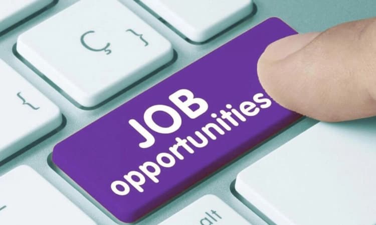 ಗ್ರಾಮೀಣ ಬ್ಯಾಂಕ್‌ : 8,106 ಹುದ್ದೆಗಳಿಗೆ ಅರ್ಜಿ ಆಹ್ವಾನ