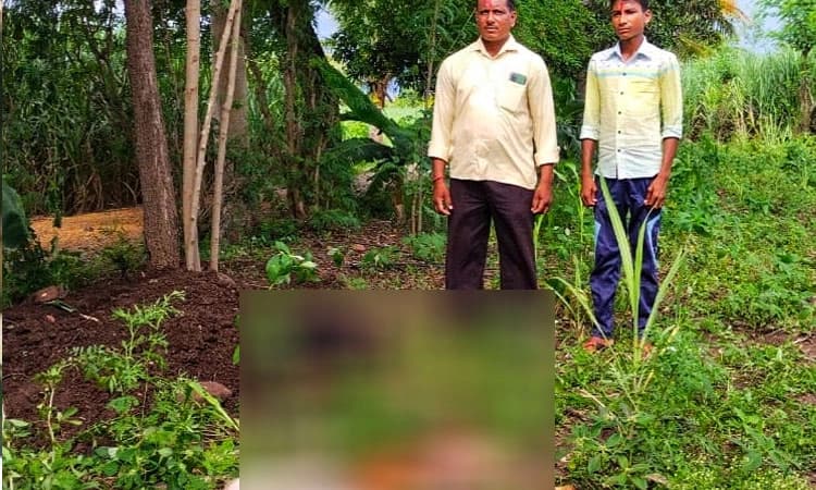 ರಬಕವಿ-ಬನಹಟ್ಟಿ: ತೋಳದ ದಾಳಿಗೆ 8 ಮೇಕೆಗಳು ಬಲಿ